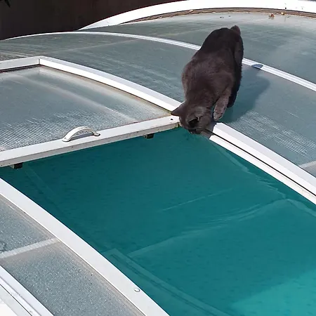 Dans Don Quijote * Nice