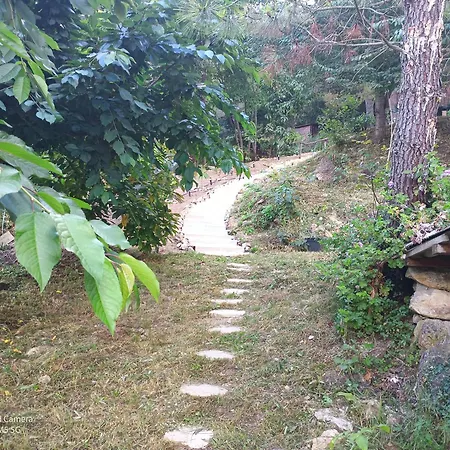 Dans Don Quijote Lejlighed