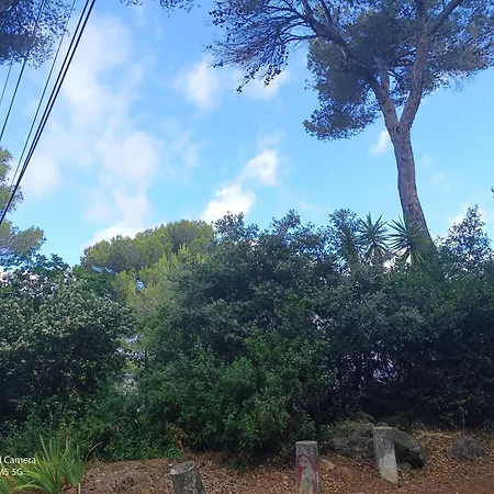 Dans Don Quijote דירה