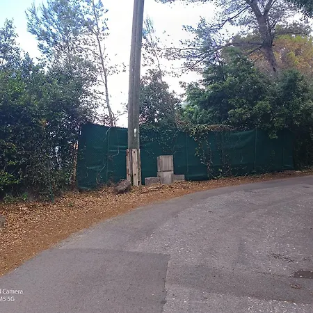 Dans Don Quijote * ניס