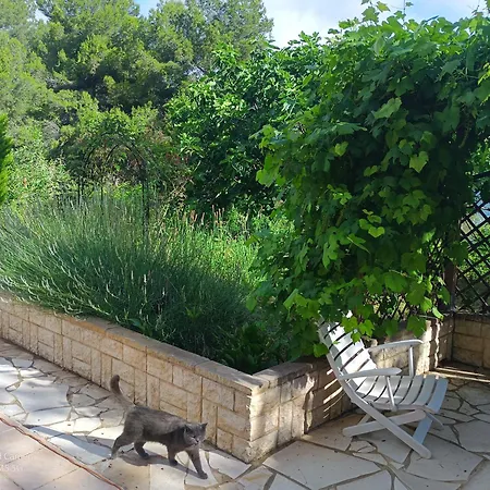 Dans Don Quijote Διαμέρισμα Νίκαια