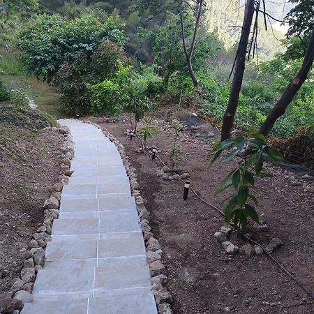 شقة Dans Don Quijote نيس