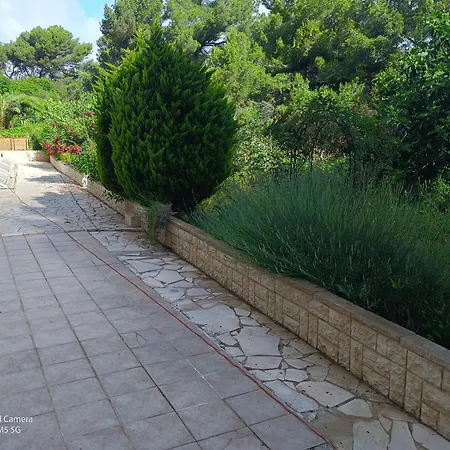 Dans Don Quijote * ניס