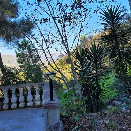 Dans Don Quijote דירה ניס