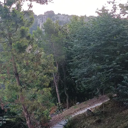 Dans Don Quijote דירה ניס