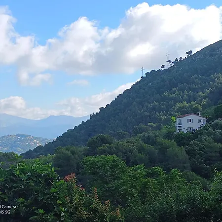 Dans Don Quijote Lejlighed Nice