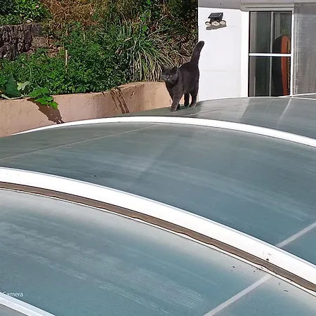 Dans Don Quijote * ניס