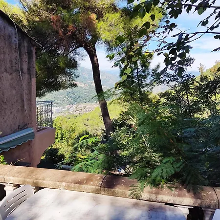 Dans Don Quijote * Νίκαια