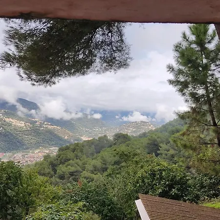 Apartmán Dans Don Quijote *