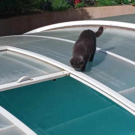 Dans Don Quijote Apartmán