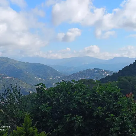 Dans Don Quijote Appartement *