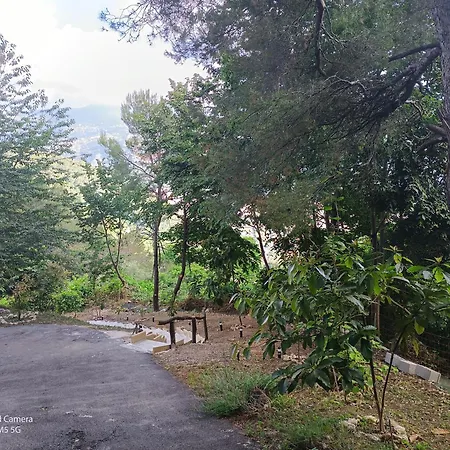 Dans Don Quijote Appartement Nice