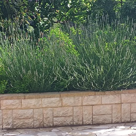 Appartement Dans Don Quijote Nice