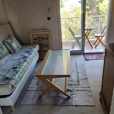 Dans Don Quijote Appartement