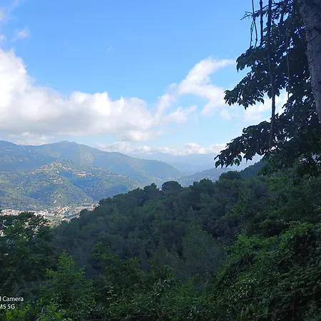 Dans Don Quijote * Nice