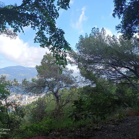 Appartement Dans Don Quijote *