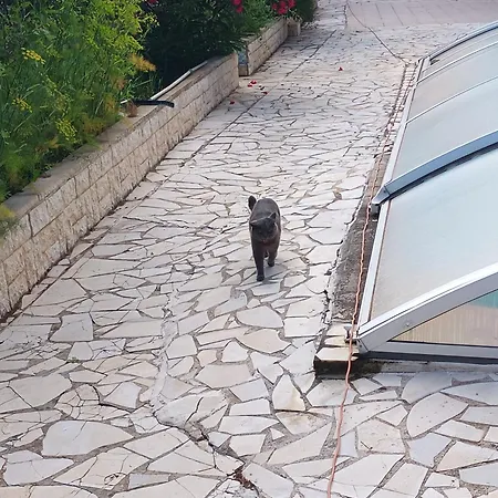 Appartement Dans Don Quijote