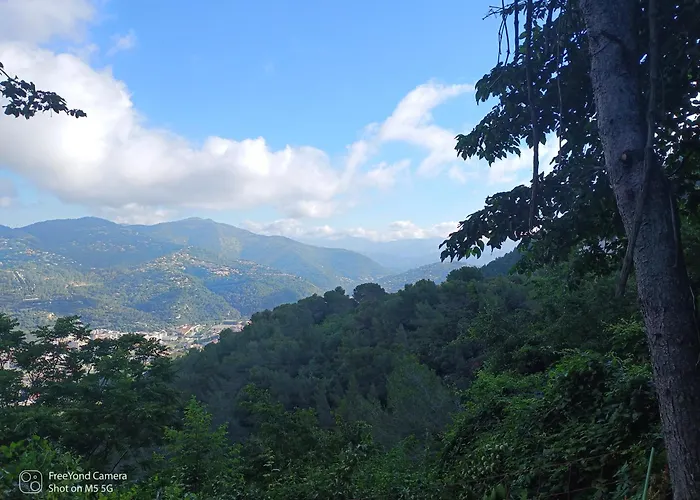 Dans Don Quijote * 니스